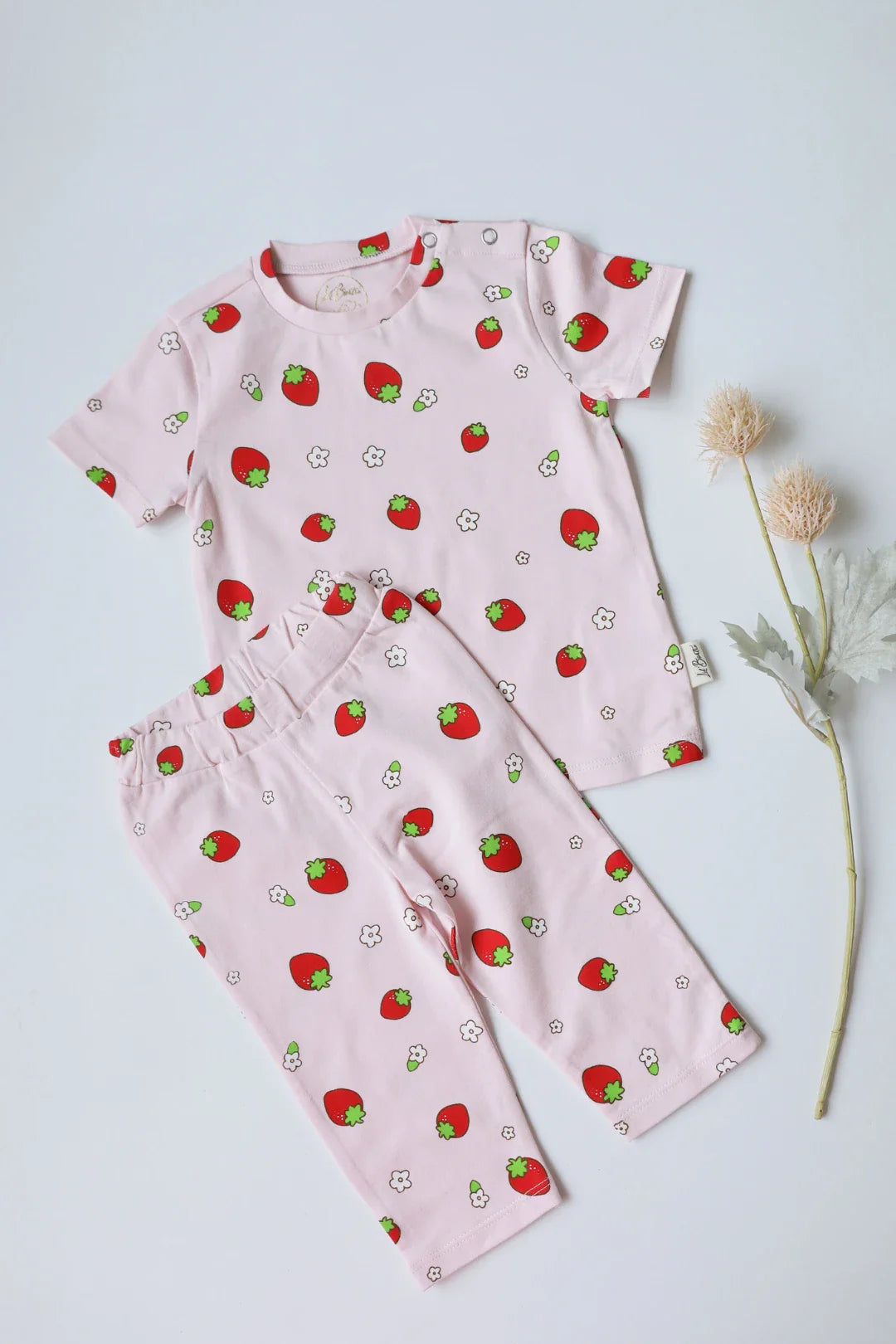 Fragaria-Kids-T-Shirt-and-Pant-Set